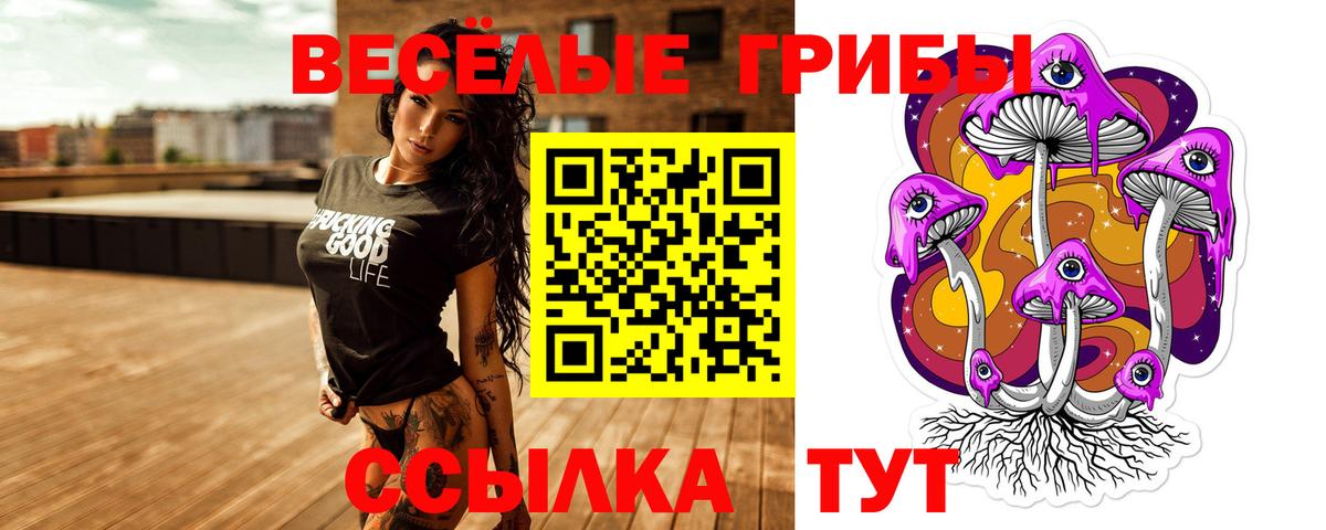 Псилоцибиновые грибы ЛСД Курчатов