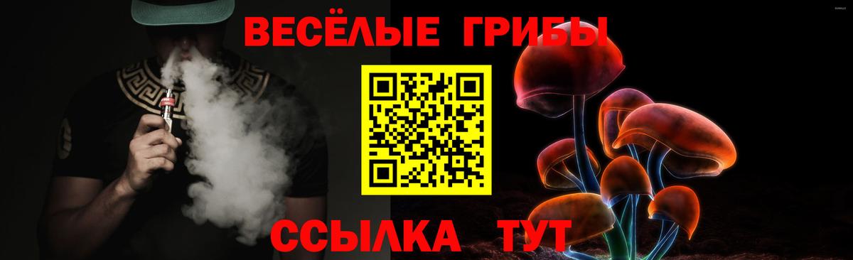 Курчатов  Галлюциногенные грибы Cubensis  Псилоцибиновые грибы ЛСД  купить наркоту  Вход с VPN 